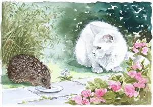 Gilda: White Cat and Hedgehog