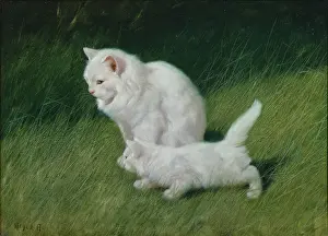 Heyer: White Cat and Kitten in the Grass