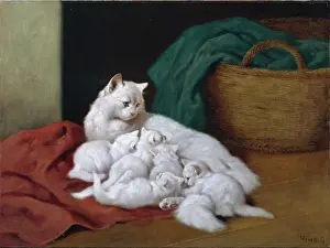 Heyer: White Cat with Five Kittens