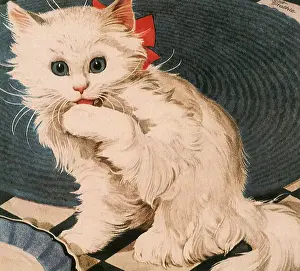 Licks: White Cat licks Paws