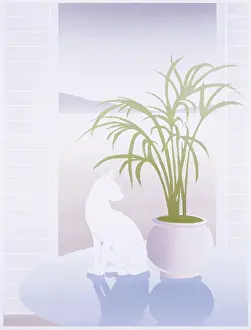Airbrush: A white cat on a reflective table