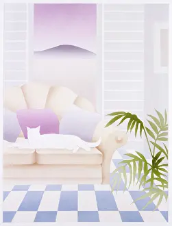 Malcolm Greensmith Collection: White cat on a sofa