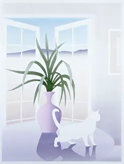White cat on a table by an open window