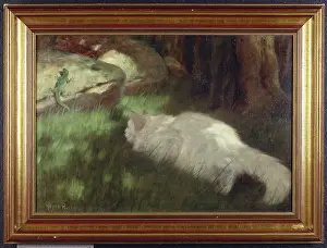Heyer: White Cat Watching a Lizard
