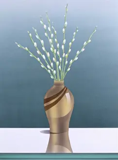 Catkin: White Catkins in a glossy vase
