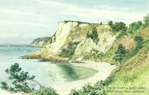 Seaton: White Cliff and Beer Head, Seaton, Devon