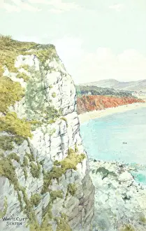 Seaton: White Cliff, Seaton, Devon