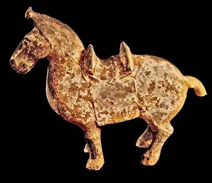 Bent: White Coated Horse