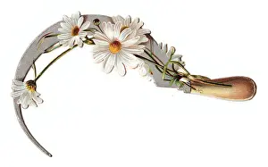 Sickles: White daisies and sickle on a cutout greetings card