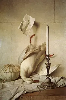 1753: The White Duck