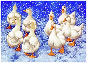 Binns: Eight White Ducks