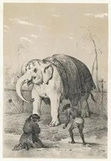 Worshipping: WHITE ELEPHANT/SIAM