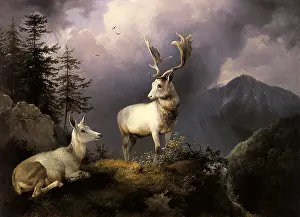 Piercing: White Fallow Deer and Doe in a Mountain Landscape