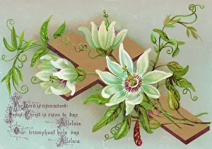 Alleluia: White flowers and a cross on an Easter card