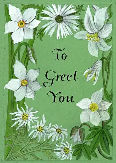 White flowers on green background