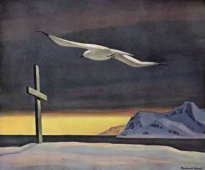 Sympathy: White Gull flies over Cross
