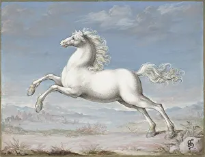 Joris: White Horse