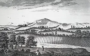 Berkshire: White Horse Hill, Berkshire