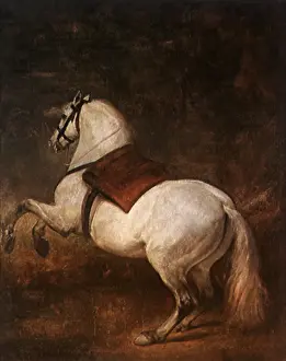 1635: A White Horse, by Velazquez
