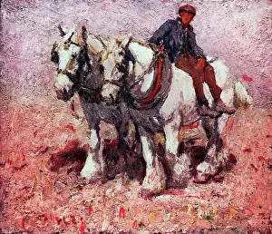Fidler: Two White Horses