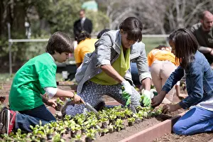 Advocacy: White House Kitchen Garden spring planting with