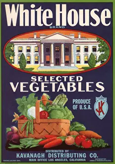 Vegtable: White House and Veggies