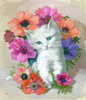 Anemones: White Kitten with Anemones