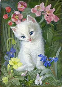 Japonica: White Kitten among spring flowers