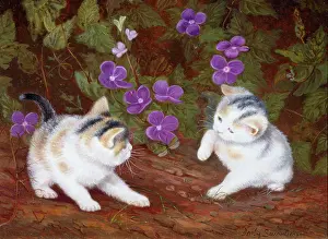 Denby: Two White Kittens with Purple Flowers