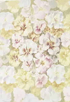 Basking: White and light yellow flowers