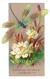 Dragonflies: White lilies and dragonfly on a Christmas card