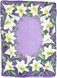 Mclaughlin: White Lilies on Mauve Background