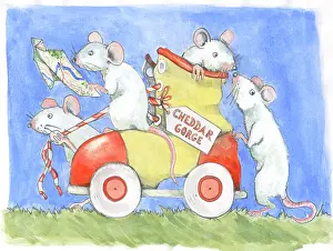 Cheddar: White Mice moving to Cheddar Gorge