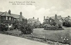 Flowerbed: White Oak School, Swanley, Kent