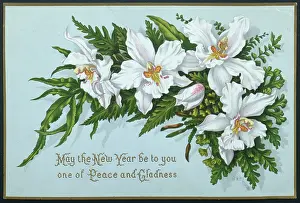 Wording: White Orchids with New Year greeting