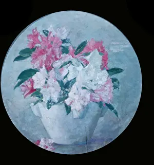 Rhododendrons: White & Pink Rhododendrons in a White Vase