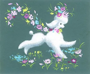 Rawlings: White Poodle with flowers