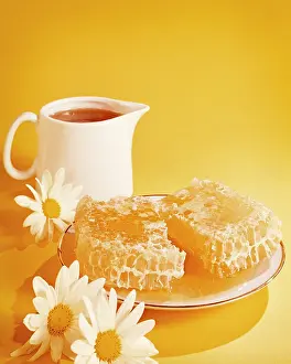Glucose: White Porcelain Serving Pitcher Full of Honey
