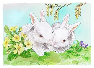 Matthes: Two white rabbits with primroses