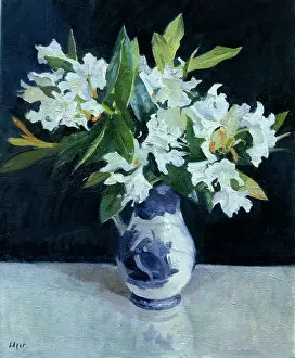 Rhododendrons: White Rhododendrons in Blue and White Jug