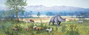 Palaeogene: White River scene, late Eocene