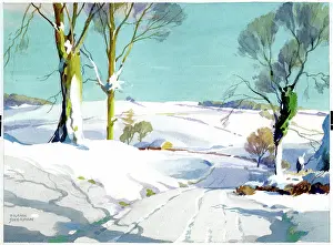 The White Road - snowy landscape