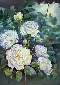 Caryl: White Roses