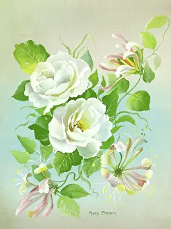 Honeysuckle: White Roses and Honeysuckle