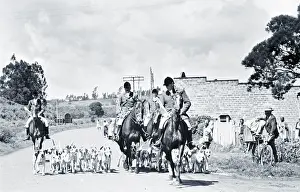 Foxhound: White Settlers