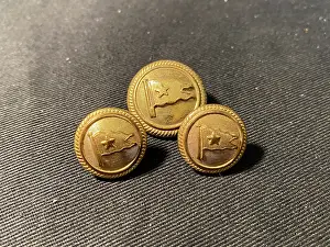 Rayner: White Star Line - three uniform brass buttons
