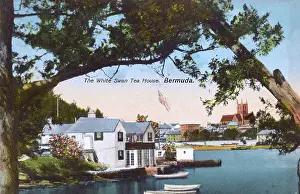 Bermudan: The White Swan Tea House, Hamilton, Bermuda