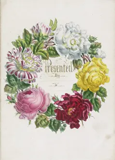 Jerrard: White, yellow, and pink Roses in a circle