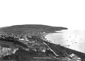 Elevation: Whitehead