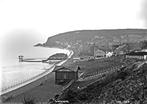 Whitehead: Whitehead